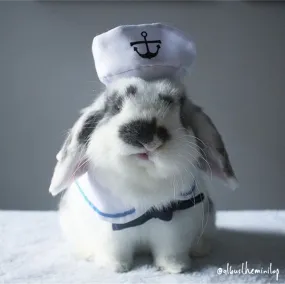 Adorable Bunny Sailor Costume