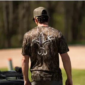 Cool T - Bottomland